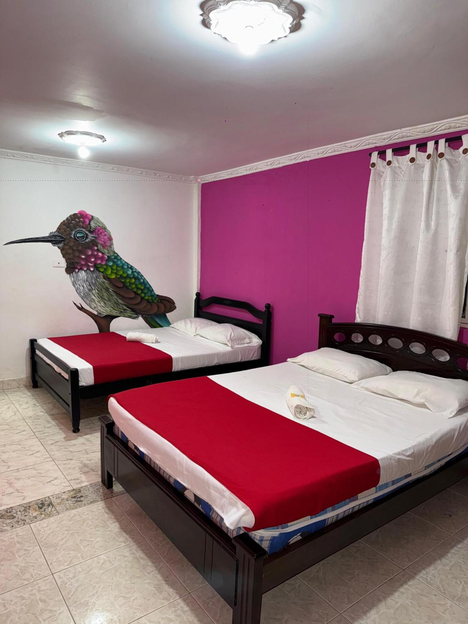 EcoHotel Colibrí Luna Park Kültér fotó