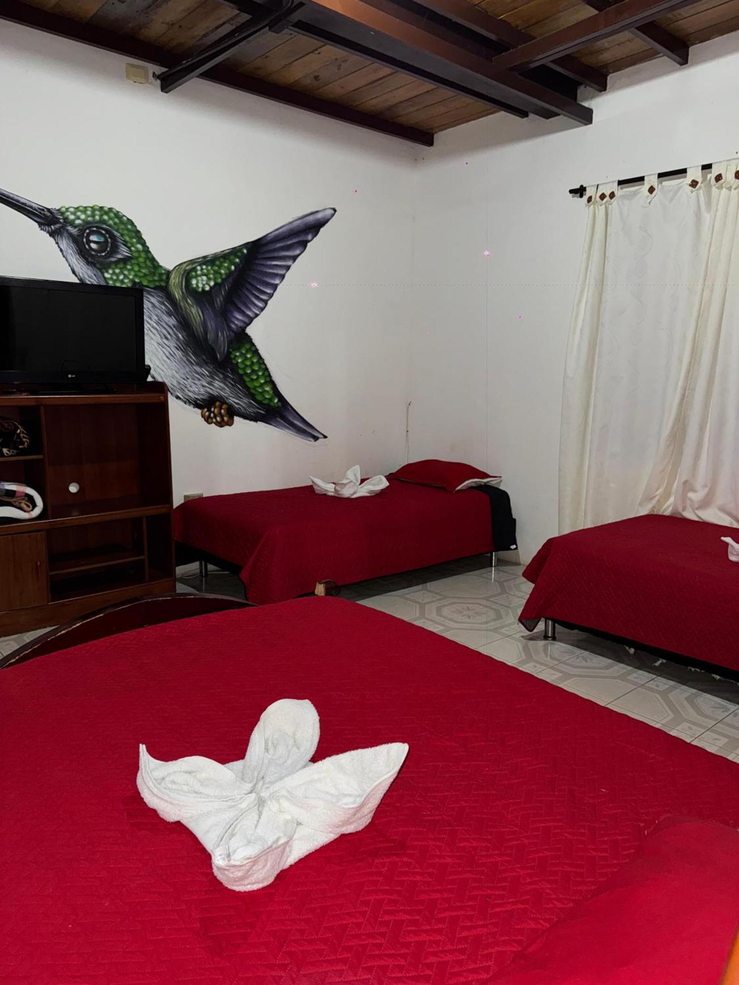 EcoHotel Colibrí Luna Park Kültér fotó